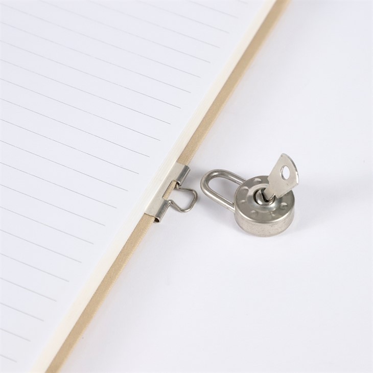Cute Diary With Lock