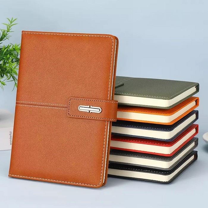 Diary With A Pen best